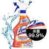 lysol  厨房重油污强力清洁剂 清香型 650ml