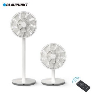 蓝宝（BLAUPUNKT）电风扇循环扇智能变频驱蚊直流 静音 空气循环 台立两用 15叶果岭风ECO节能3D摇头X1-BAI