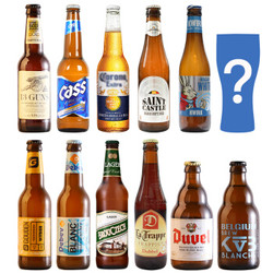 纯进口啤酒  比利时/法国/德国等多国多风格精酿组合 11瓶纯进口多风格+酒杯