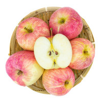 红富士  嘎拉苹果5斤装  当季新鲜水果