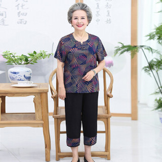 凡淑 2019夏季新品女装新款奶奶装套装老年人短袖t恤60-70岁妈妈装老太太两件套 JXALWNL035 1号色 5XL