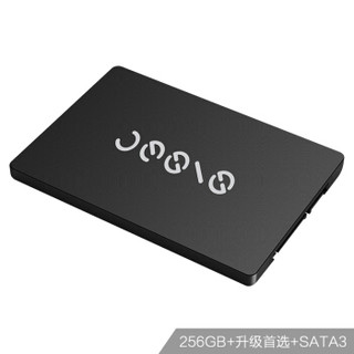 指思（Jesis）256GB SSD固态硬盘 SATA3.0接口 X760S系列 三年质保