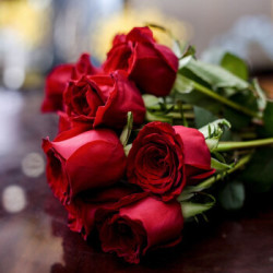 云南鲜花玫瑰花花束12支8支防损耗