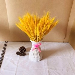 麦穗干花 春梓麦穗干花花束40支多少钱 什么值得买 麦穗干花 春梓麦穗干花花束40支多少钱 什么值得买