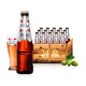 24瓶整箱装 法国进口1664玫瑰味精酿果味啤酒女士酒250ml临期特价