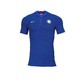  耐克（Nike）夏季国际米兰短袖 官方POLO衫 867819-463　