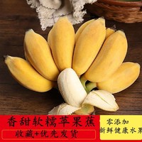苹果蕉小米蕉新鲜水果香蕉水果批发孕妇香蕉批发