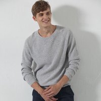 雪莲 SNOW LOTUS 秋冬山羊绒圆领简约百搭套头衫羊绒衫男 761029 灰色 XL