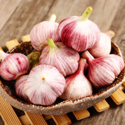 联承新鲜紫皮红蒜5斤2件