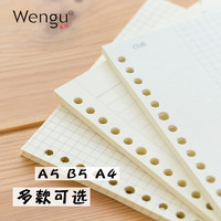 Wengu 文谷 A5活页本替芯 20孔 50页/本 多款可选