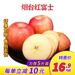 双福盛 山东烟台红富士苹果 中果5斤