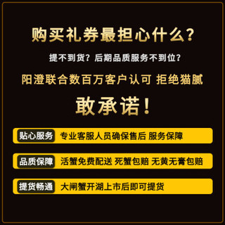 【礼券】阳澄联合 大闸蟹礼券2988型公4.5两 母3.5两 4对螃蟹券 螃蟹券 礼盒 礼品卡 海鲜水产