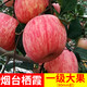 山东烟台红富士苹果栖霞水果新鲜当季整箱丑苹果一级脆甜带箱10斤