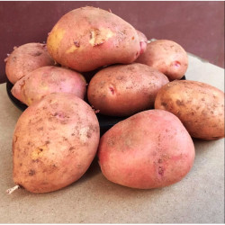 高山红皮土豆 中小混果 净重3斤多少钱-什么值得买