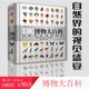 DK博物大百科 中文点读版自然界的视觉盛宴自然史图解自然百科