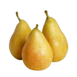 52元】甜缤纷 山东烟台洋梨 太婆梨 5斤 *5件多少钱-什么值得买