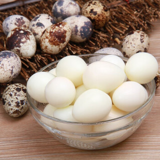 新鲜生鹌鹑蛋 125枚 农家散养 送卤蛋料 生鲜蛋 宝宝辅食营养 鹑鸟蛋 非鸡蛋