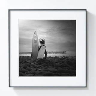 艺术品【PICAPhoto】波兰艺术家托马什·扎切纽克摄影作品《冲浪企鹅》