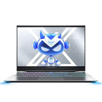 MACHENIKE 机械师 战空F117-X 光刃版 15.6英寸 游戏本 银色 (酷睿i7-10875H、RTX 2070 8G、16GB、1TB SSD、1080P、IPS、144Hz、F117-X)