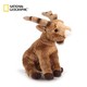 国家地理NG欧洲系列 阿尔卑斯山羊15cm 仿真动物毛绒玩具公仔亲子送女友生日礼物 *3件+凑单品