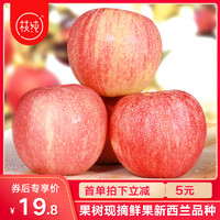 枝纯苹果新鲜水果当季整箱嘎啦果非红富士10斤脆甜嘎啦苹果5斤装