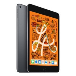 Apple 苹果 ipad mini 5 2019款 平板电脑 深空灰 64GB WLAN 7.9英寸