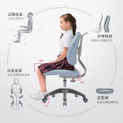 西昊（Sihoo） 儿童学习椅 小学生座椅 写字椅 人体工学可升降家用椅子 K32蜻蜓椅（天空蓝）