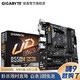 GIGABYTE 技嘉  B550M DS3H 电脑主板