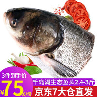 千岛鱼先生 千岛湖鱼头  （净膛后）2.4斤-3斤鲢鱼头