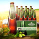 青岛啤酒 印度艾尔IPA精酿14度330ML*12瓶+汉斯小木屋菠萝味啤酒330ml*12罐 +凑单品