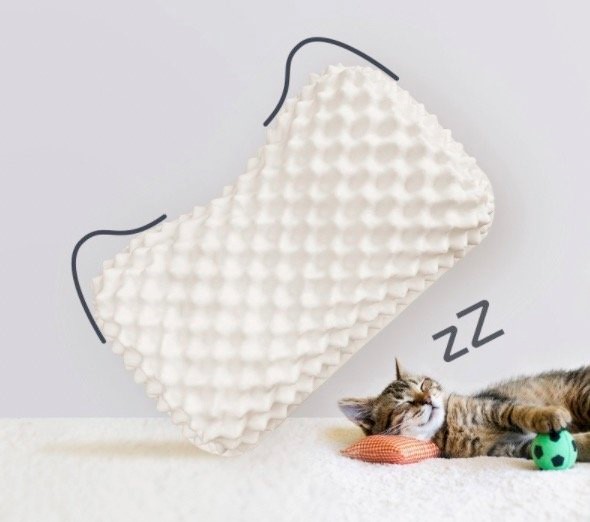 顾家旗下年轻态床垫品牌-瞌睡猫，究竟值不值得买？