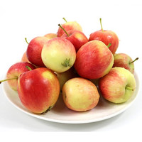 鲜姿 东北K9沙果 小苹果 5斤