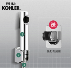 KOHLER 科勒 R98100 马桶喷枪套装（银色喷枪 送免钉支架）