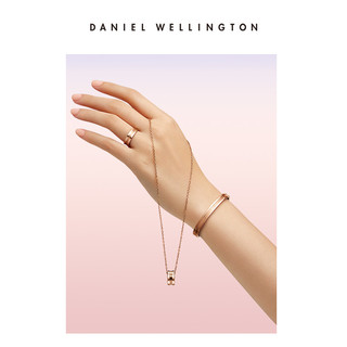 Daniel Wellington ELAN NACKLACE系列 女士不锈钢圆形项链