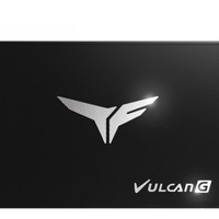 Team 十铨 T-FORCE Vulcan G SSD固态硬盘