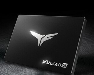 Team 十铨 T-FORCE Vulcan G SSD固态硬盘