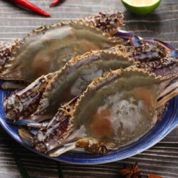 豆乐奇 鲜活冷冻梭子蟹母蟹 4斤装