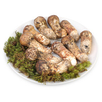 菌香园 野生新鲜松茸（7-9cm）500g礼盒 云南香格里拉 云南新鲜野生菌菇礼盒
