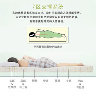 伊可莱（ecolifelatex）泰国乳胶床垫七分区床垫 榻榻米 床褥 10*150*200cm