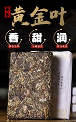 云南茶叶普洱茶生茶砖茶冰岛百年古树料陈年干仓老茶黄金叶250克