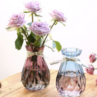 质优家 欧式创意玻璃花瓶   2个