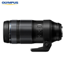 OLYMPUS 奥林巴斯 M.Zuiko Digital ED 100-400mm F5.0-6.3 IS 超长焦变焦镜头 等效200-800mm