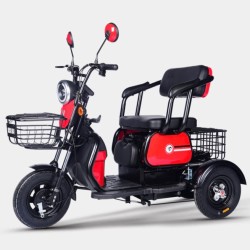 TAENT 踏浪 乐酷顶配 48V22A 电动三轮车