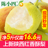陕西红香酥梨 5斤 当季现摘 新鲜水果 梨子 脆梨 苏宁生鲜 陈小四水果