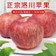 家总管 陕西洛川红富士苹果 5斤 *2件+凑单品