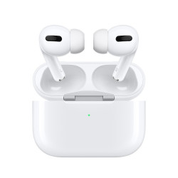 Apple 苹果 AirPods Pro 真无线降噪耳机 海外版