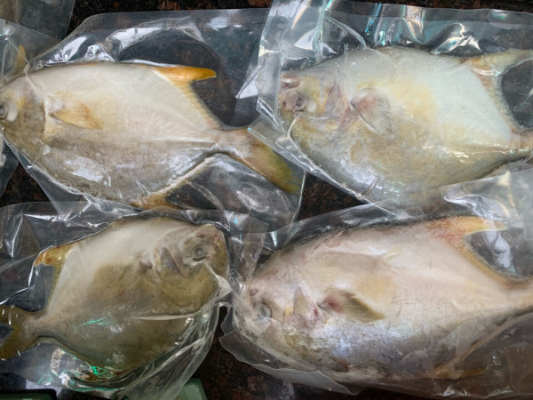 翔泰冷冻无公害金鲳鱼500g2条袋装生鲜bap认证全程可追溯含Ω3生鲜