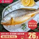 寰球渔市 东海新鲜大黄鱼 500g *3件+凑单品
