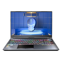 TERRANS FORCE 未来人类 T5M 15.6英寸 游戏本 灰色(酷睿i7-10750H、GTX 1660Ti 6G、16GB、512GB SSD、1080P、144HZ)