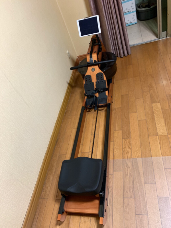 小米有品小莫pro划船机